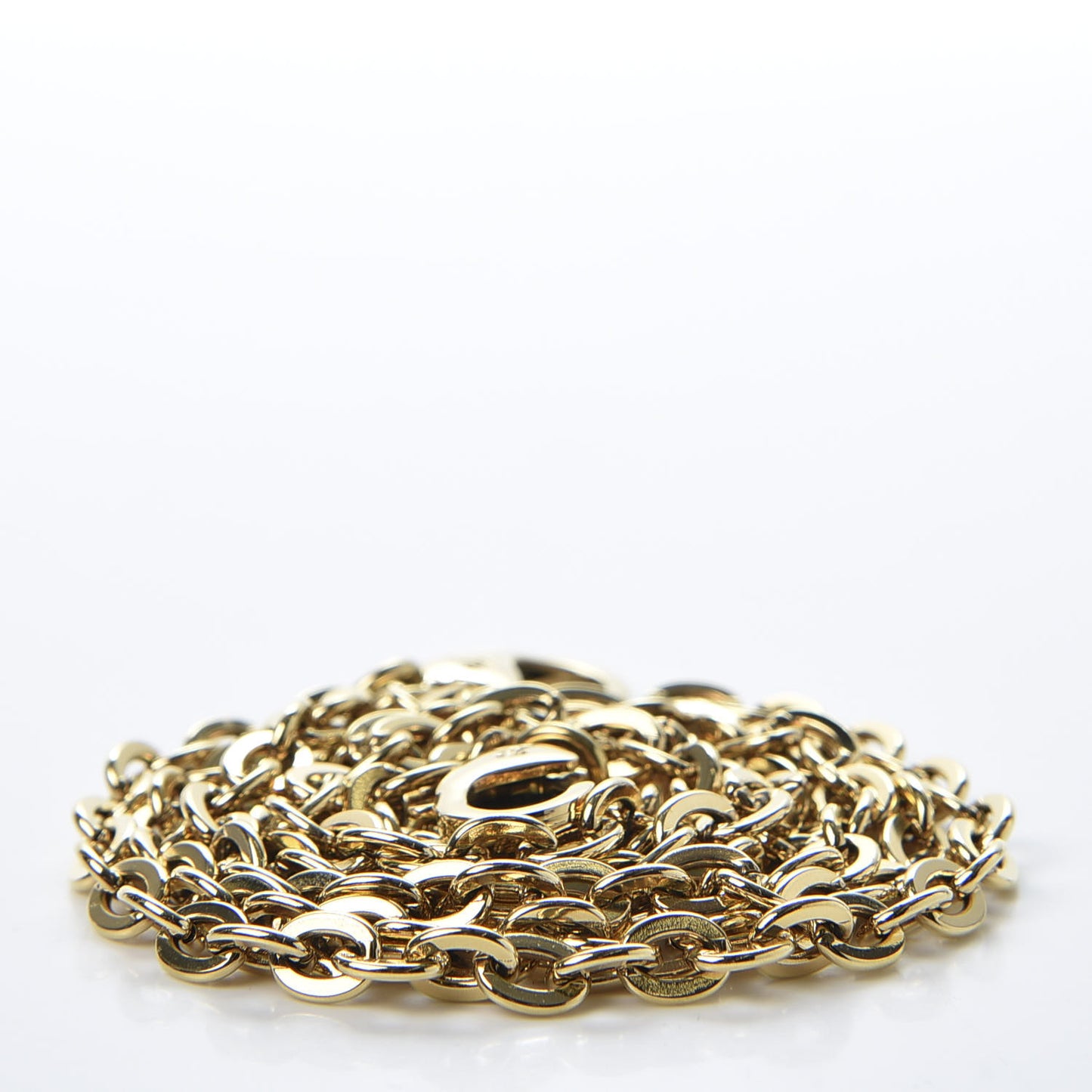 Felicie Chain Long Shoulder Strap
