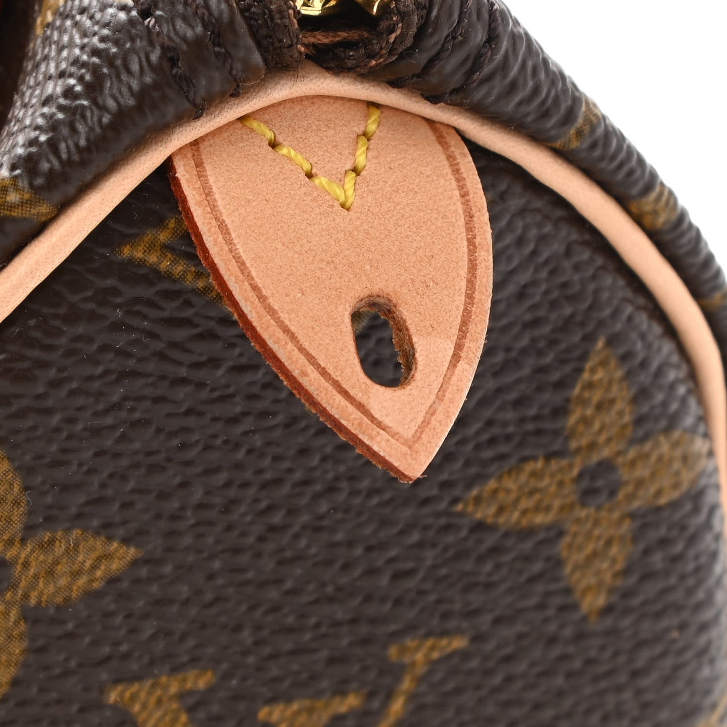 Monogram Mini Sac HL Speedy