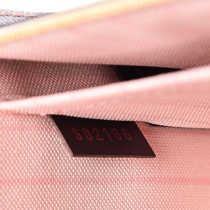 Louis Vuitton Damier Ebene Neverfull MM GM Pochette Rose Ballerine 8 of 8