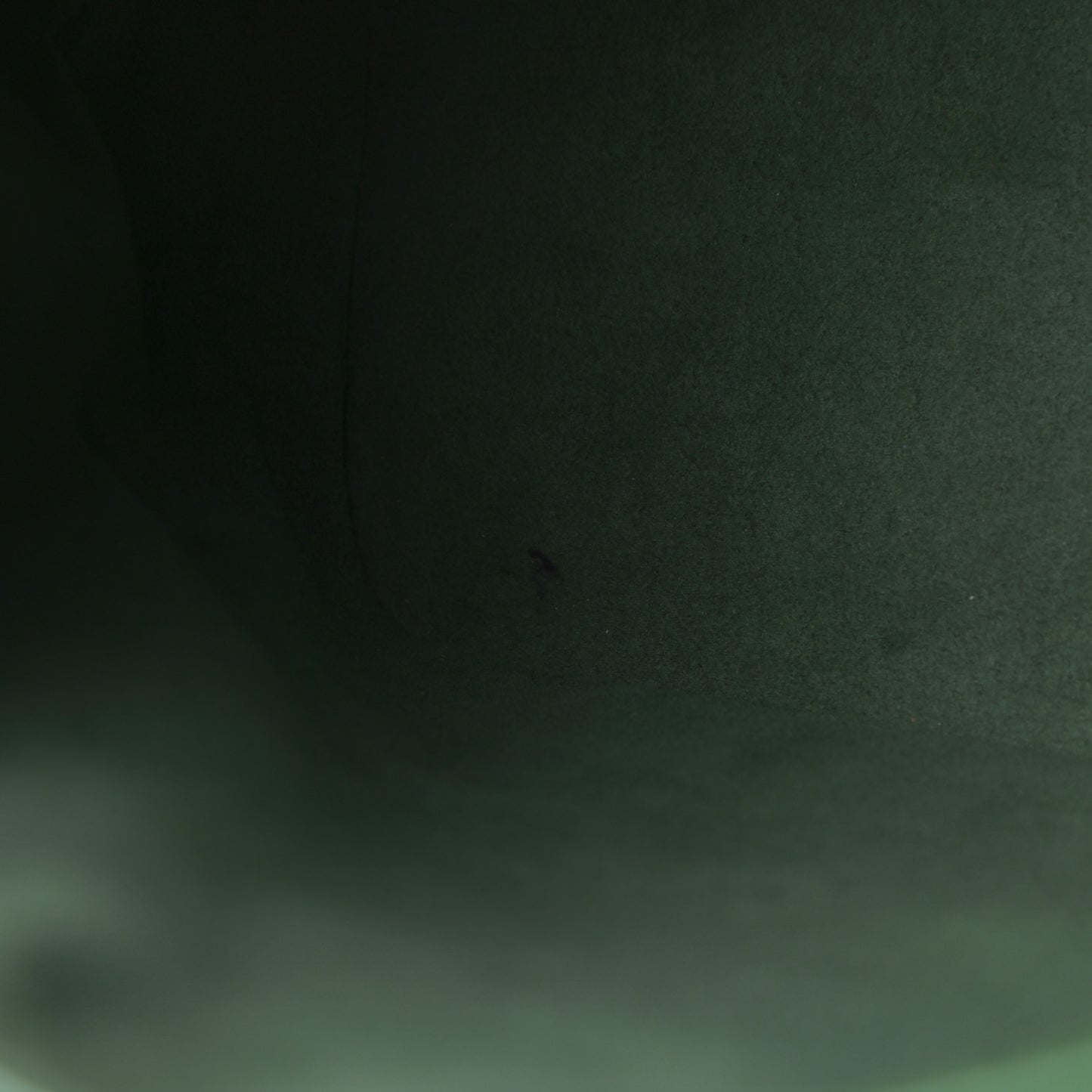 Epi Petit Noe Borneo