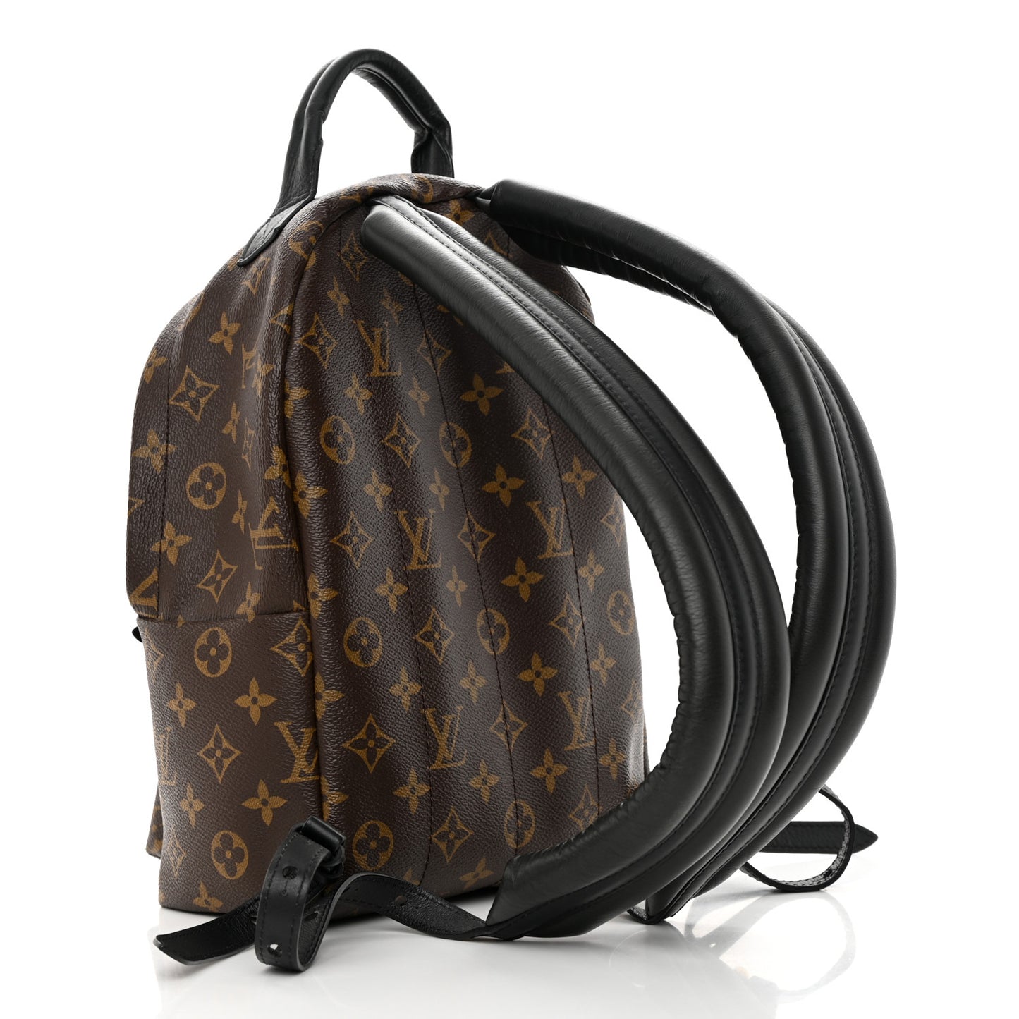 Monogram Palm Springs Backpack PM