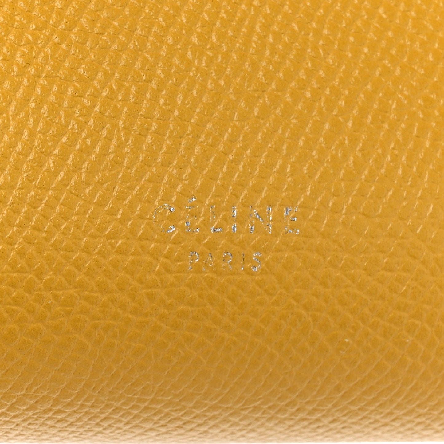 Grained Calfskin Nano Belt Bag Sunflower
