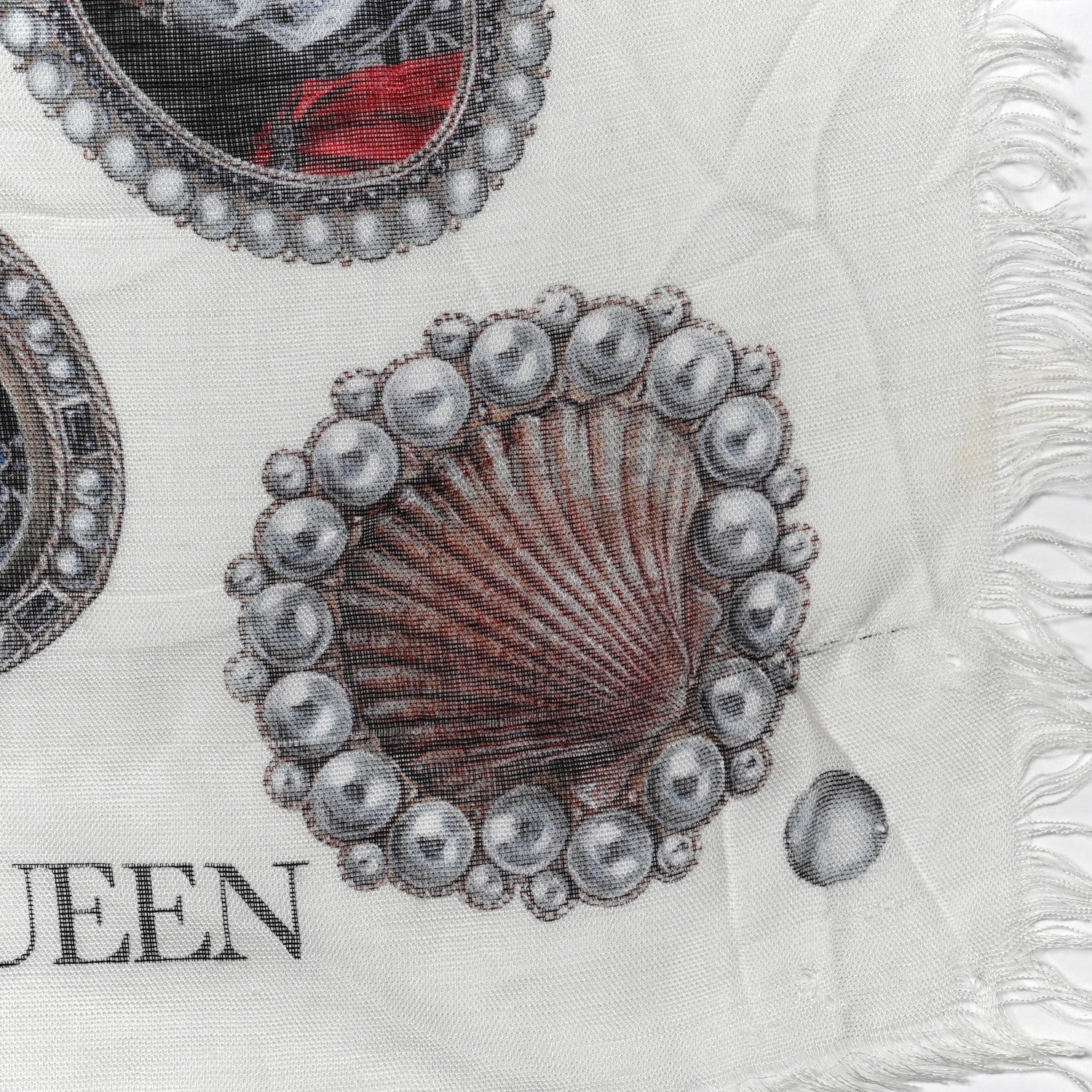 Alexander McQueen Modal Lost At Sea Cameo Scarf Ivory Sky 4 of 4