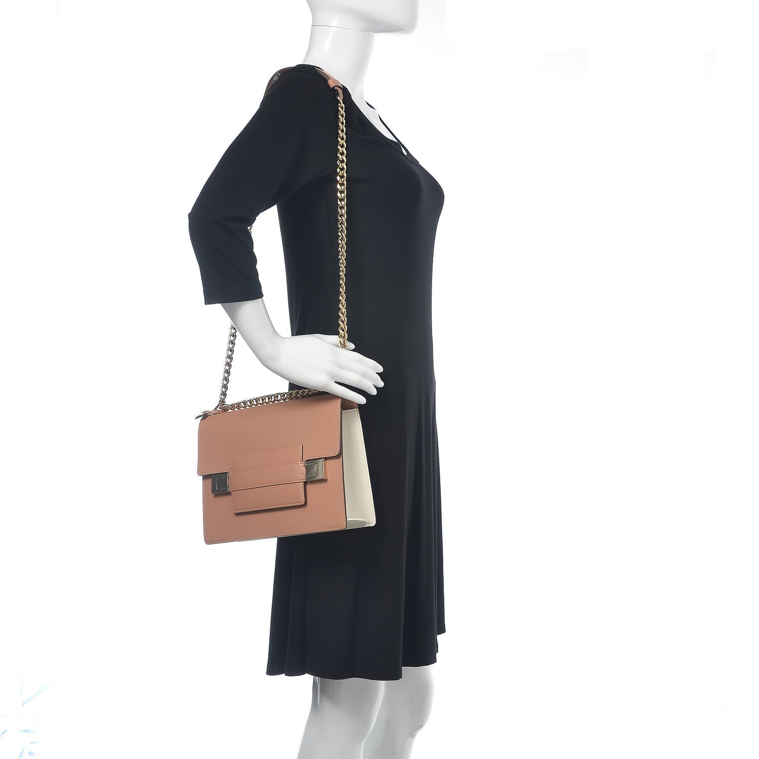 Delvaux Supple Calfskin Madame PM Chaine Bag Vison Ivory 2 of 9