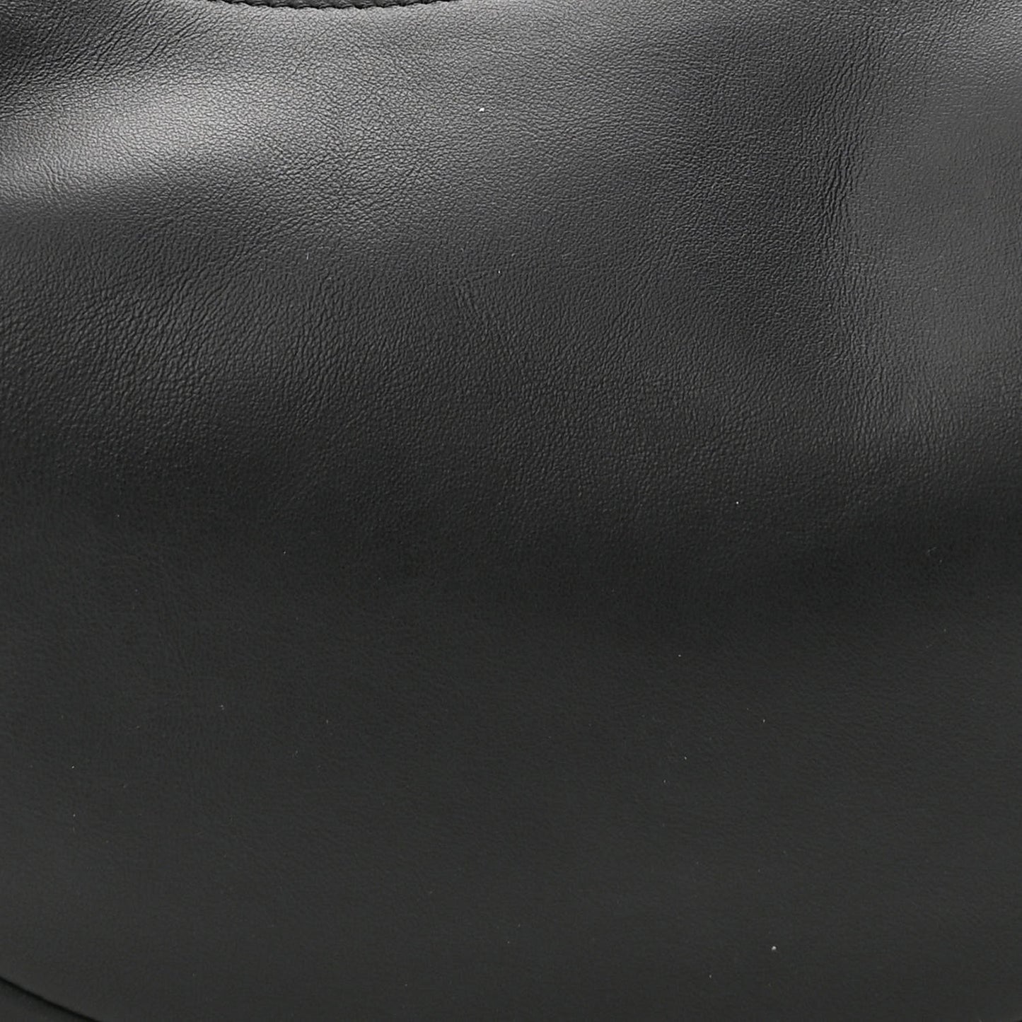 Vitello Grace Matte Small Fendigraphy Hobo Bag Black