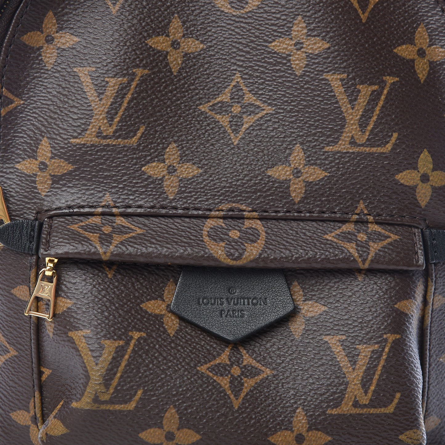 Monogram Palm Springs Backpack Mini