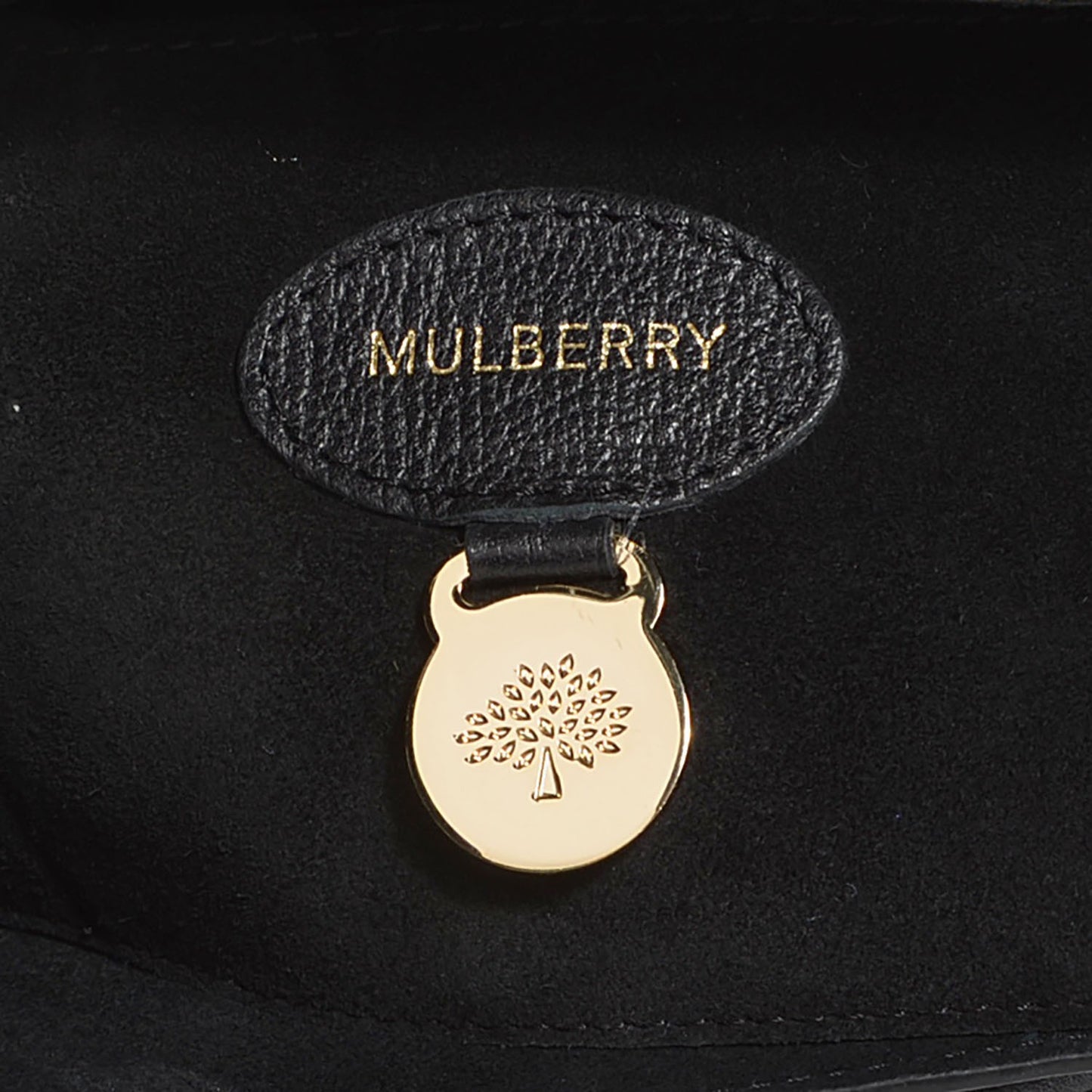 Glossy Goat Bayswater Black