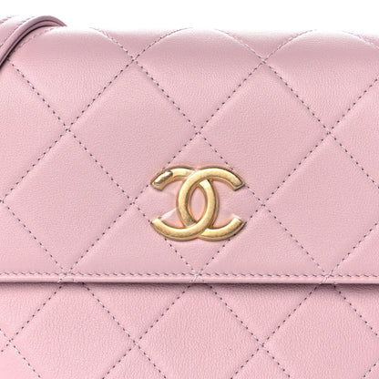 Chanel Calfskin Quilted Pearl Small About Pearls Hobo Bag Light Pink 7 of 12