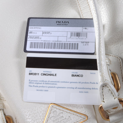 Prada Cinghiale Frame Bag White 7 of 7