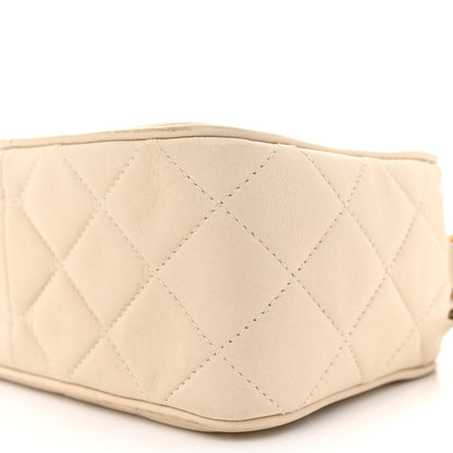Chanel Lambskin Quilted CC Camera Case Beige 10 of 16