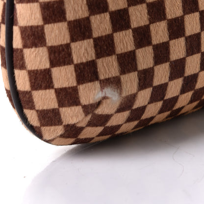 Louis Vuitton Calf Hair Damier Sauvage Tigre 5 of 6