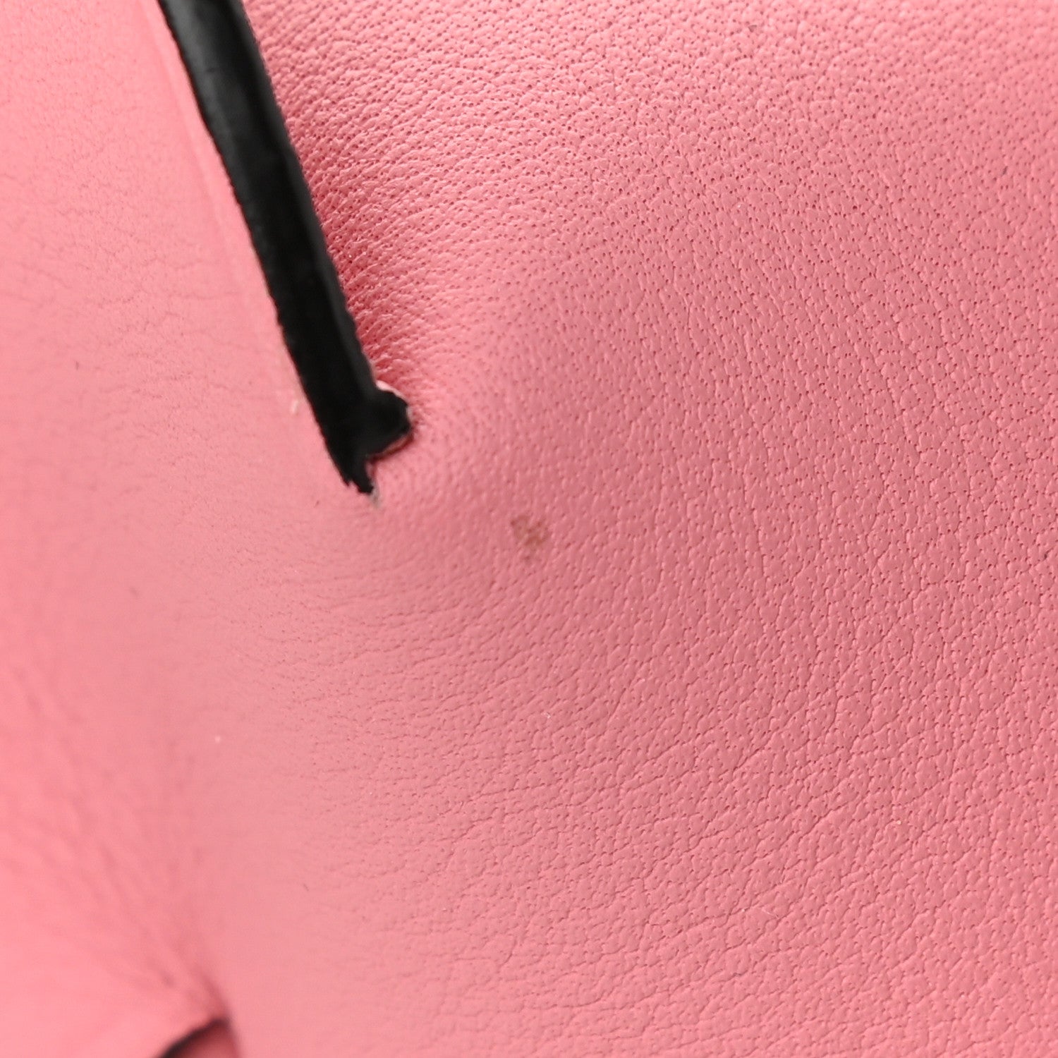 Loewe Calfskin Mini Elephant Crossbody Bag Candy 9 of 9