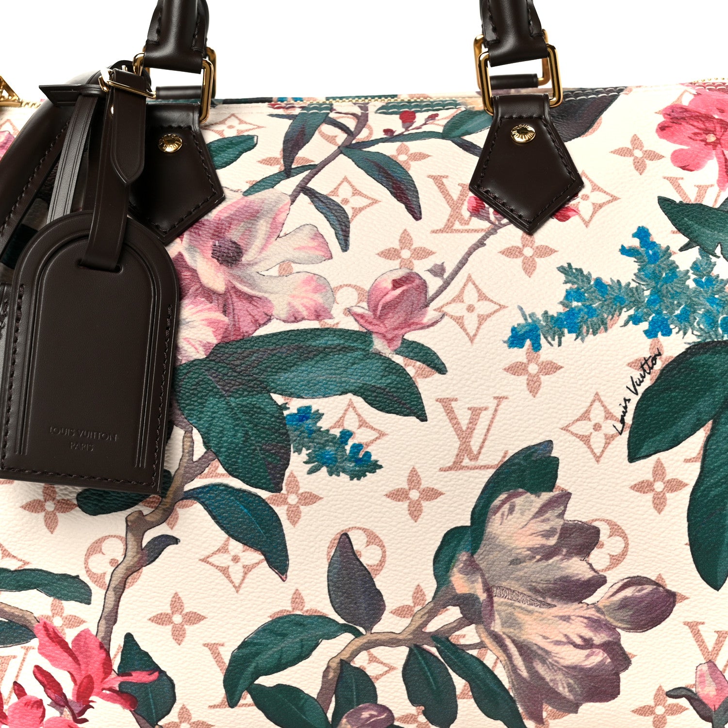 Louis Vuitton Monogram Dune Eden Speedy Soft 30 9 of 12