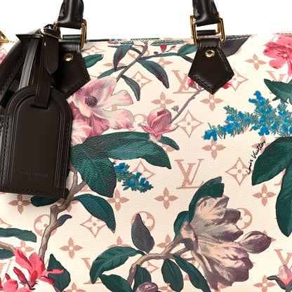 Louis Vuitton Monogram Dune Eden Speedy Soft 30 9 of 12