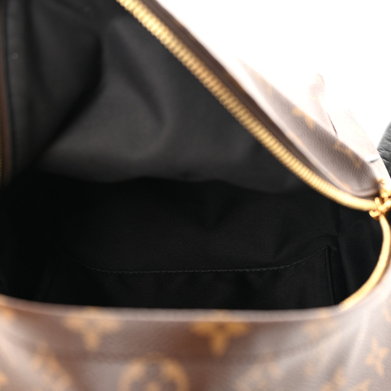 Louis Vuitton Monogram Palm Springs Backpack PM 5 of 13