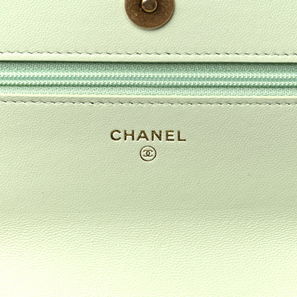 Chanel Lambskin Quilted Chanel 19 Wallet On Chain WOC Light Green 6 of 12