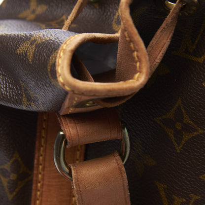 Louis Vuitton Monogram Petit Noe 10 of 11