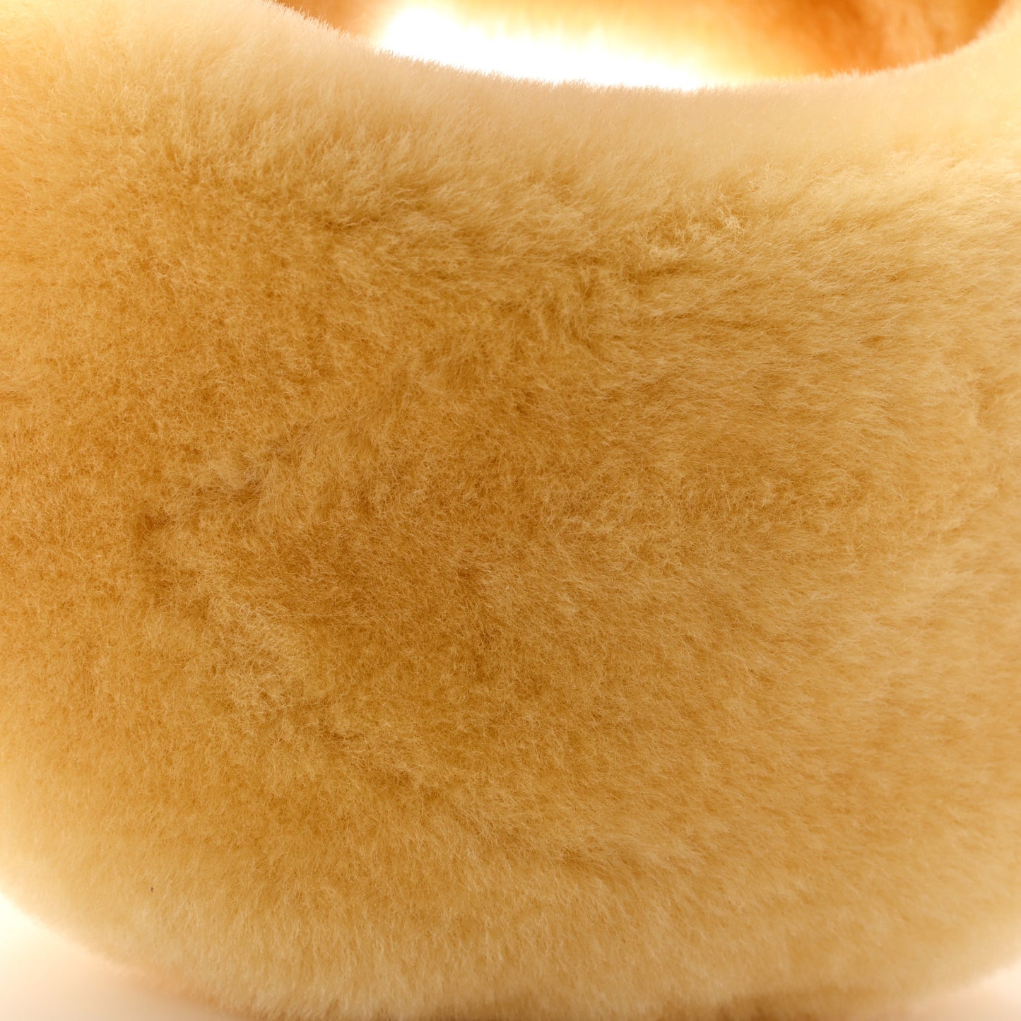 Shearling Lambskin Mini Jodie Teddy