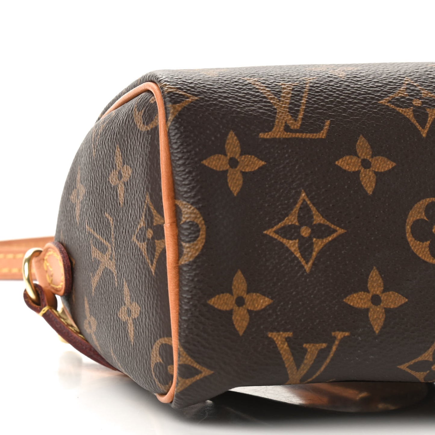 Monogram Nano Speedy