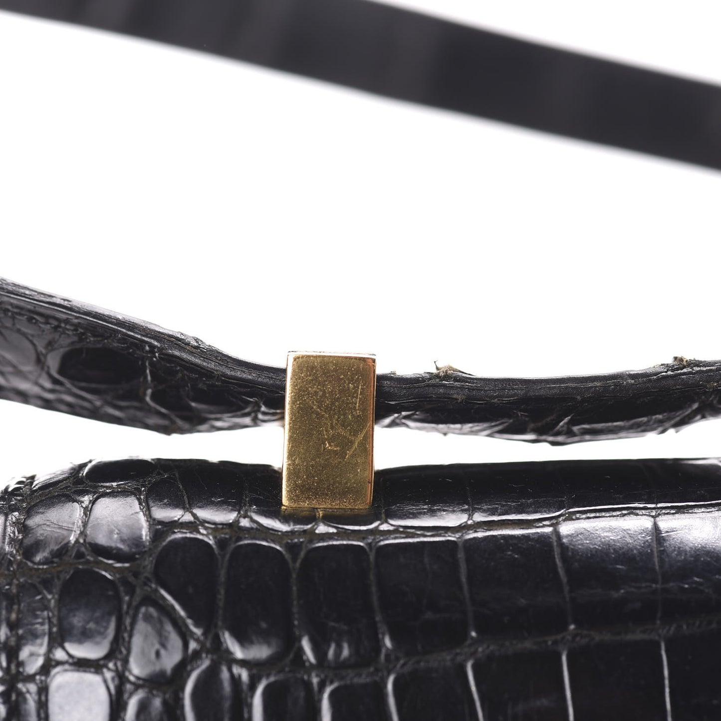 Shiny Porosus Crocodile Constance 24 Black