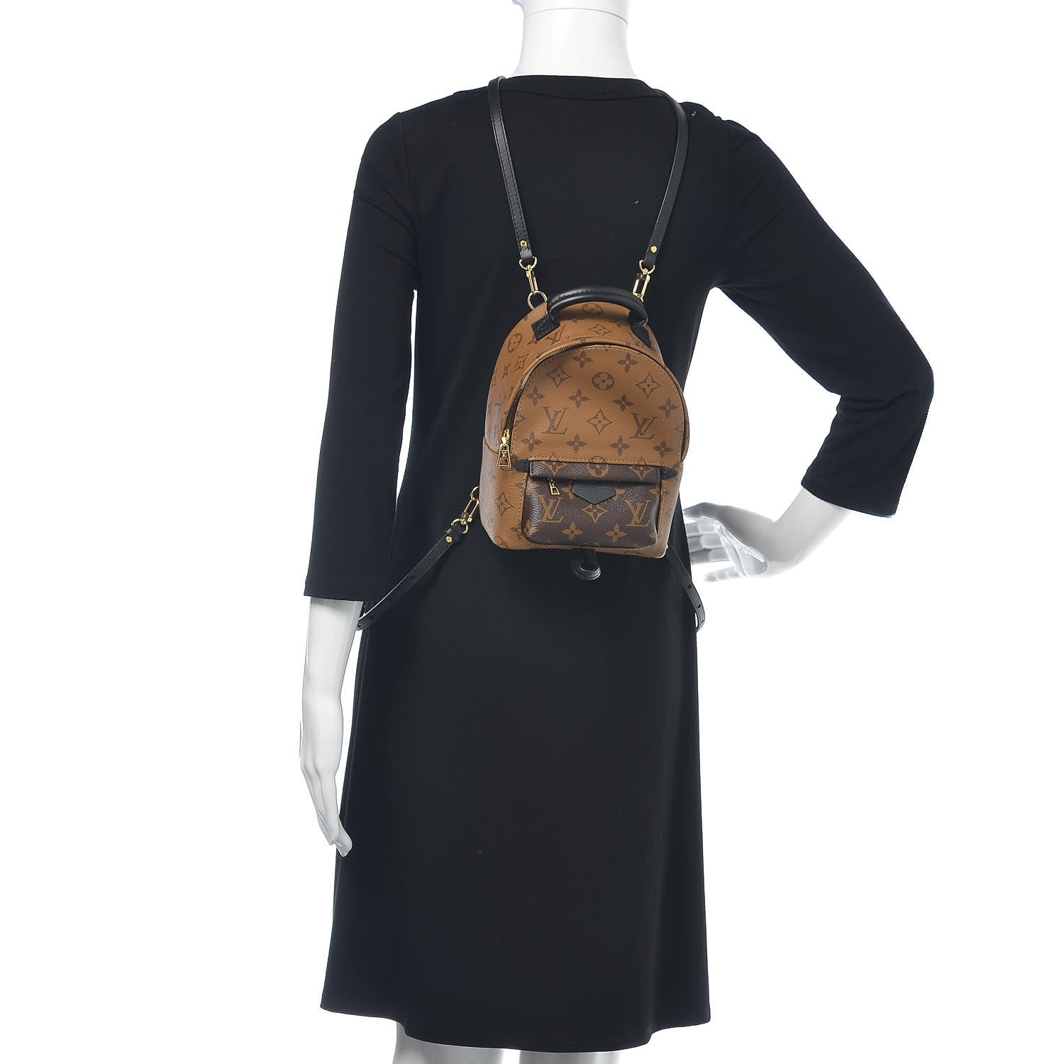 Louis Vuitton Reverse Monogram Palm Springs Backpack Mini 2 of 10