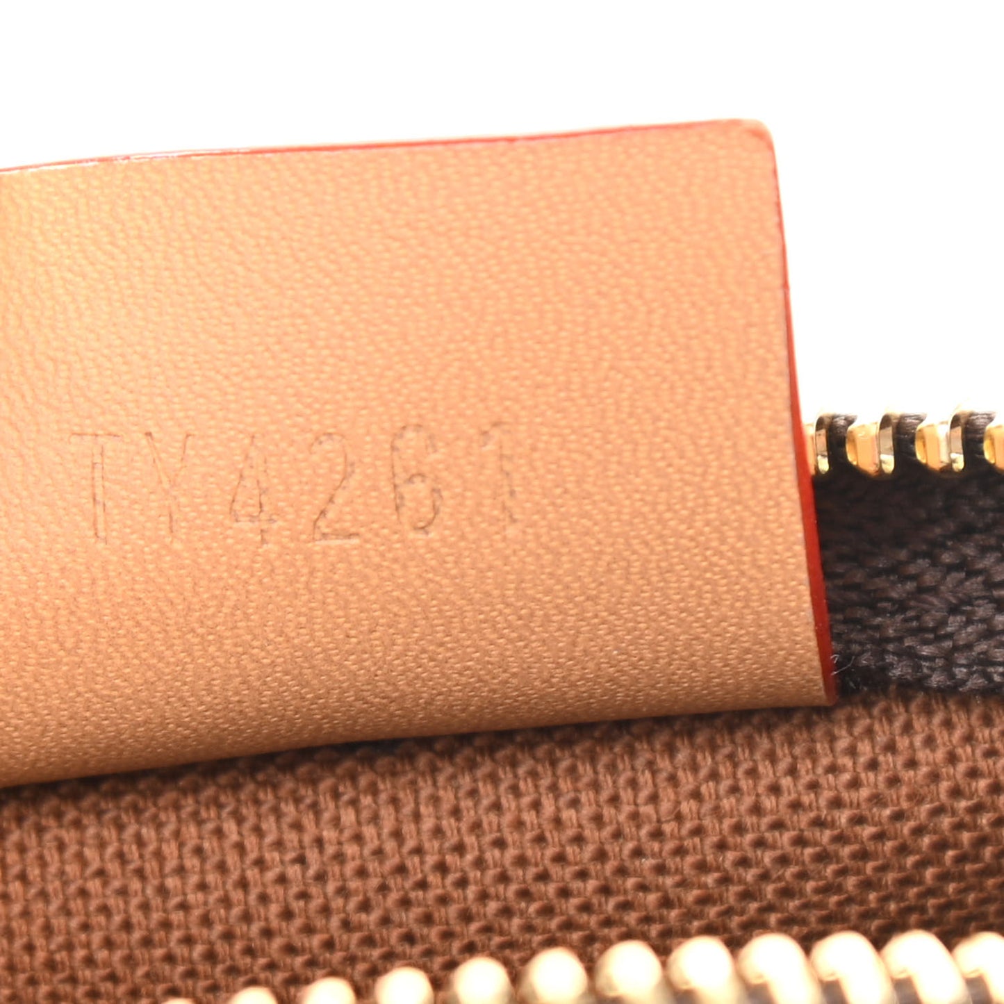 Monogram Nano Speedy Bandouliere
