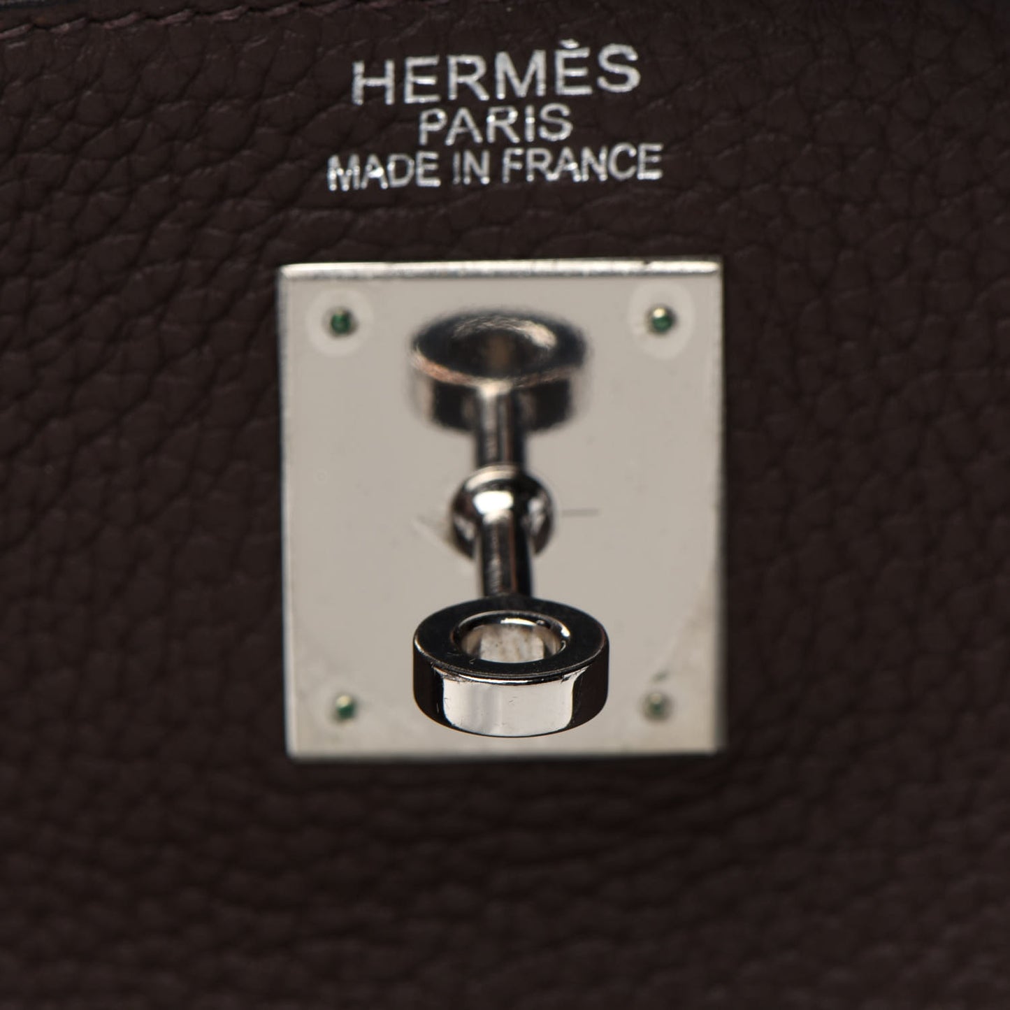 Taurillon Clemence Kelly Retourne 35 Chocolate