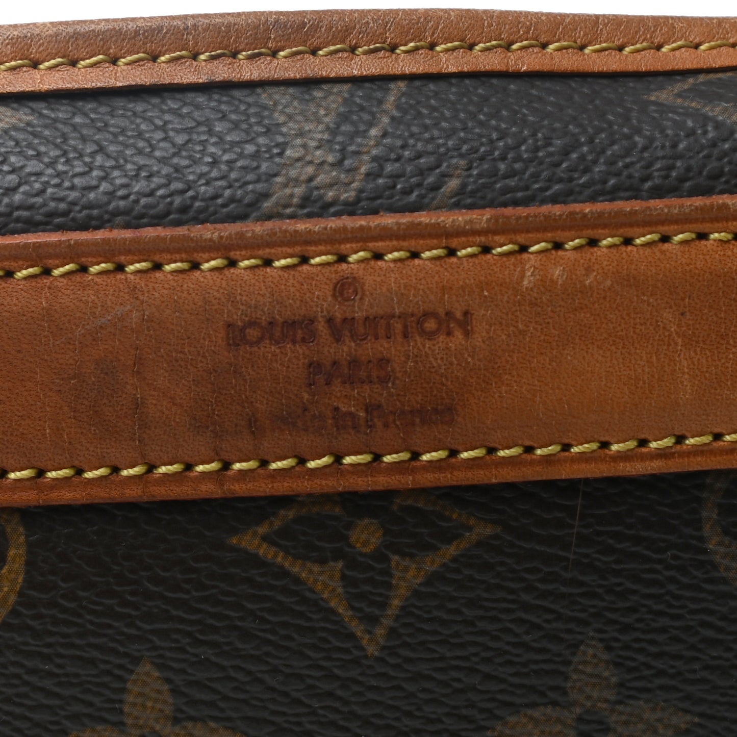 Monogram Sac Chien 40 Pet Carrier