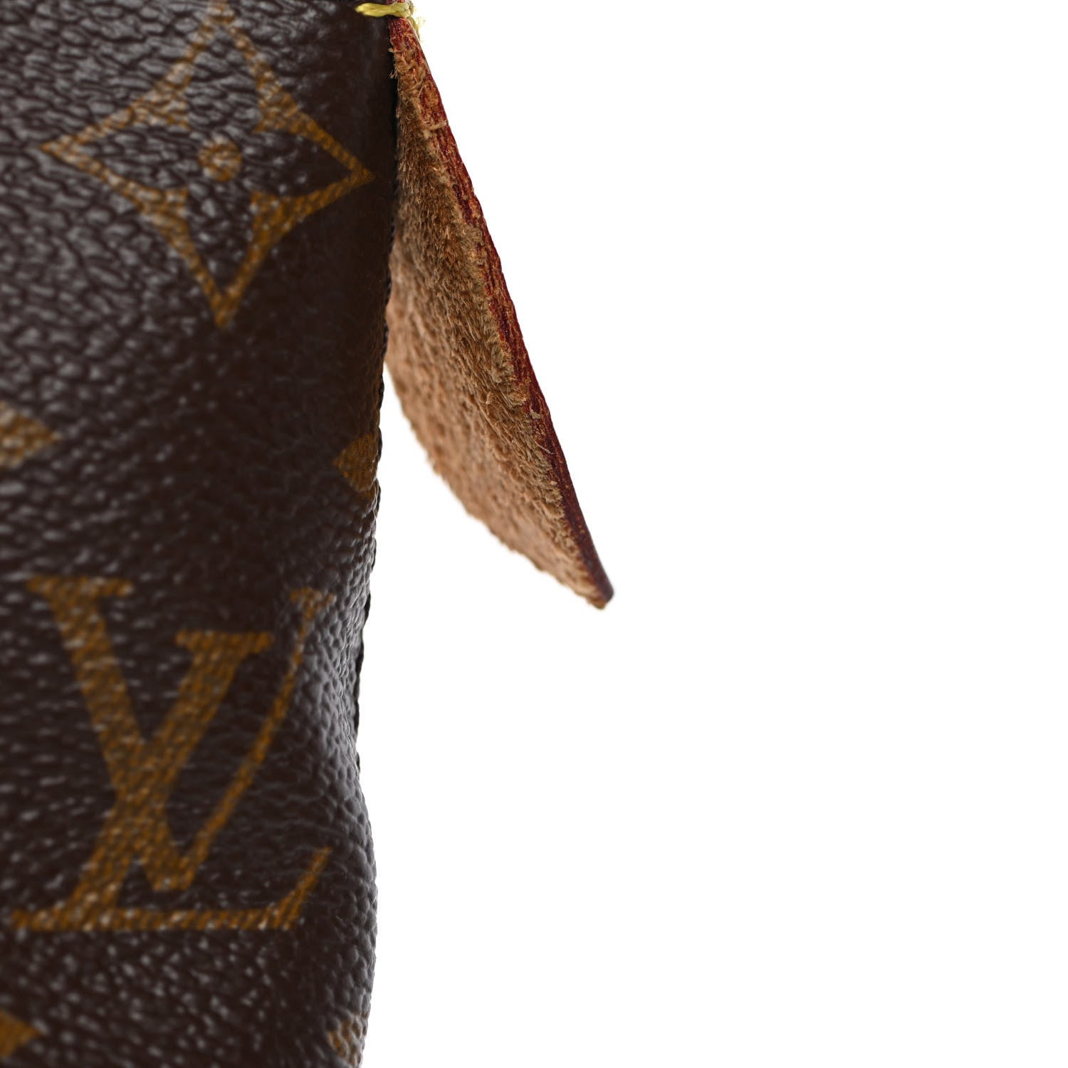 Louis Vuitton Monogram Iena PM 19 of 25