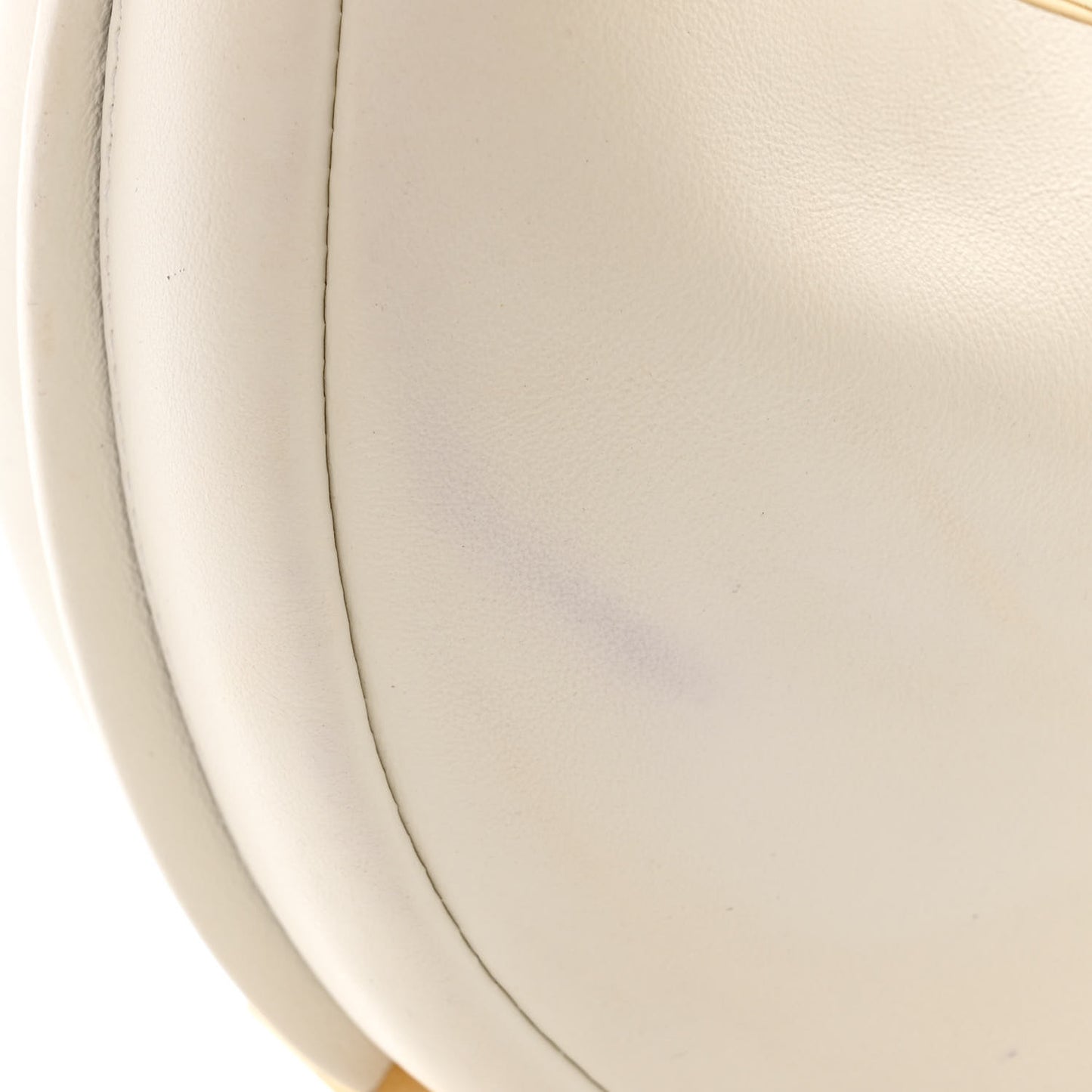 Vitello Grace Matte Mini Fendigraphy Hobo Bag White Ice