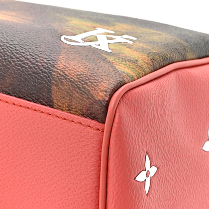Louis Vuitton Masters Da Vinci Speedy 30 16 of 17