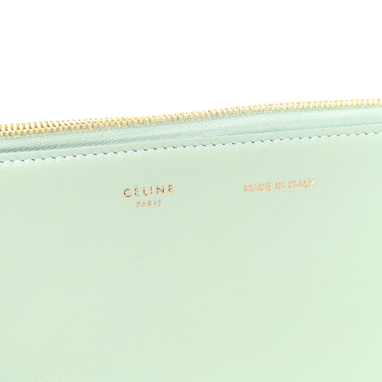 Plastic Bag with Cloudy Lambskin Solo Zip Pouch Clutch Celadon