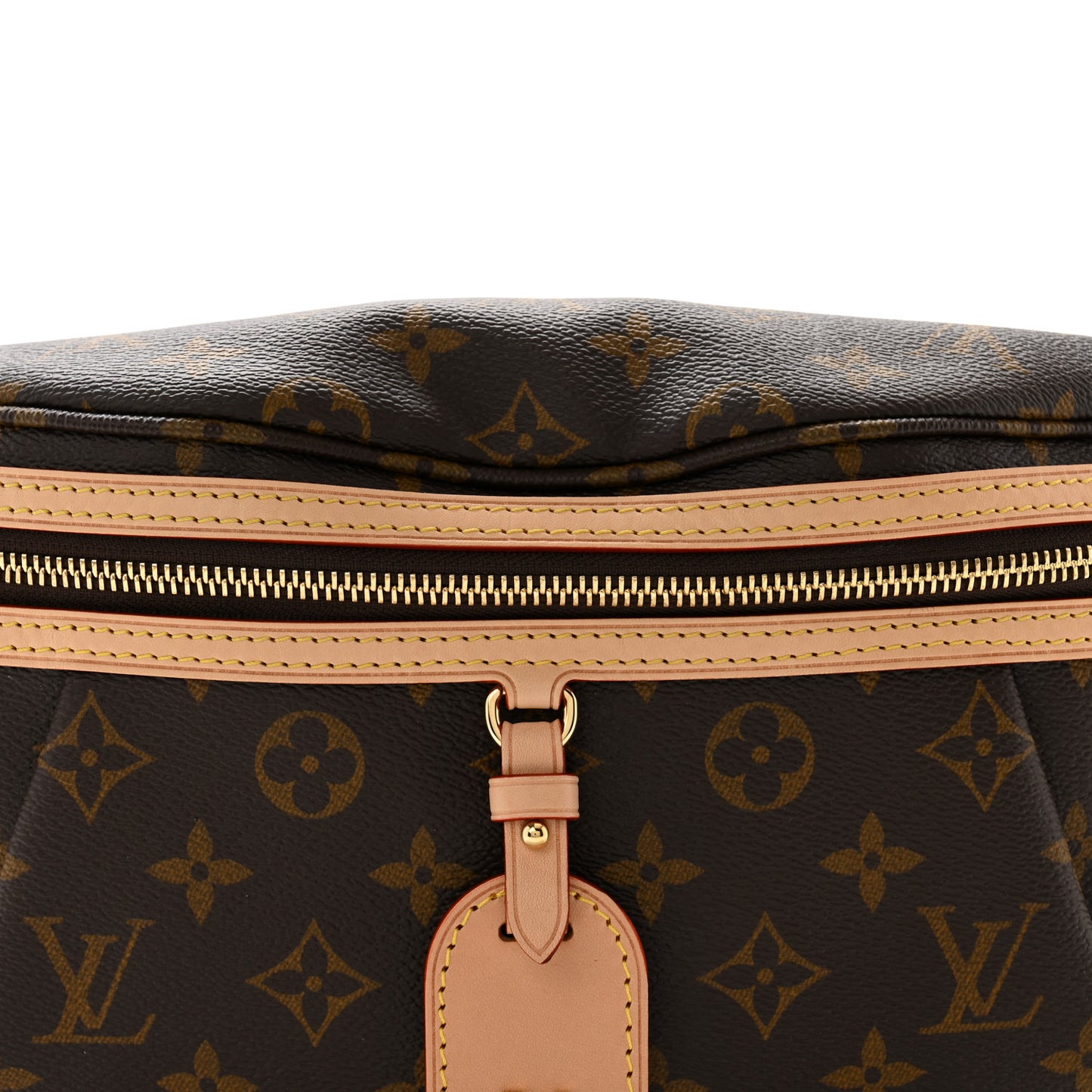 Monogram High Rise Bumbag