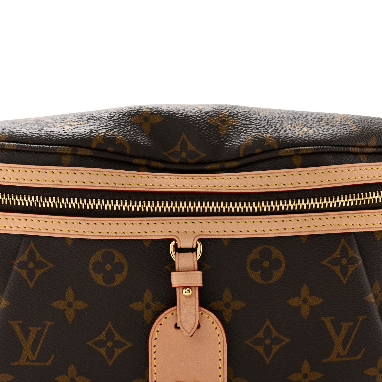 Louis Vuitton Monogram High Rise Bumbag 6 of 8
