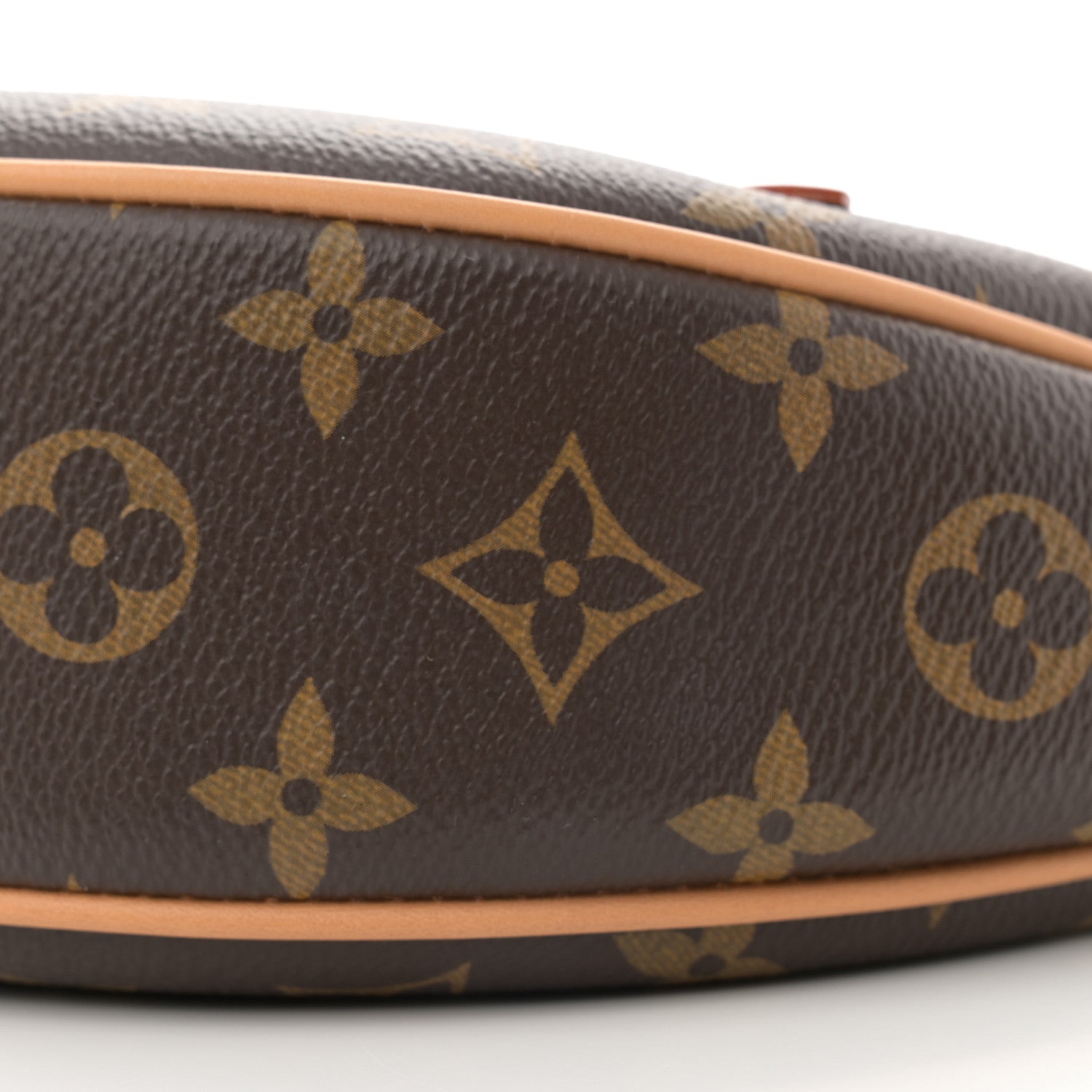 Louis Vuitton Monogram Loop 8 of 8