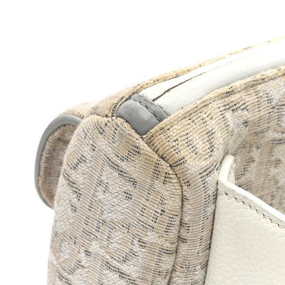 Christian Dior Oblique World Tour Saddle Belt Bag Grey 10 of 12