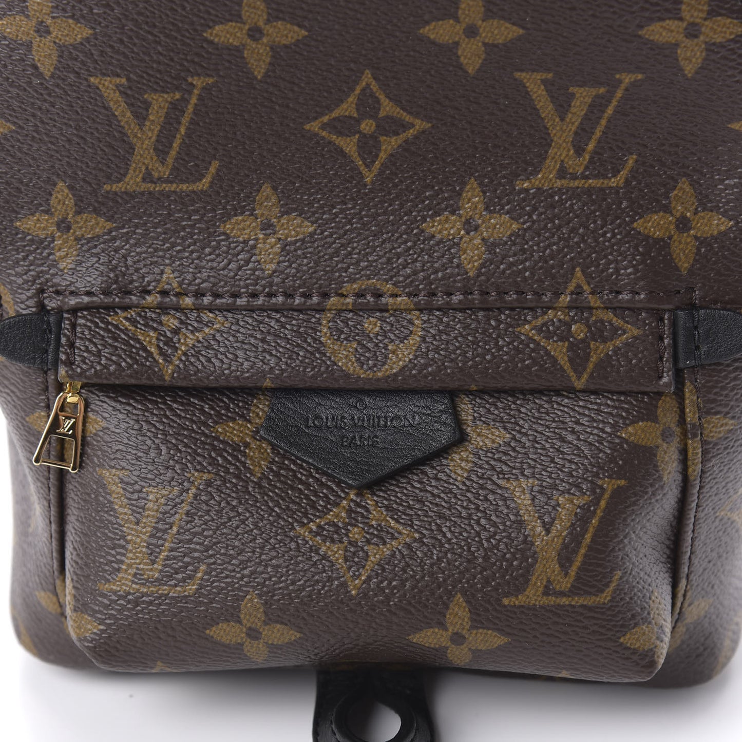 Monogram Palm Springs Backpack Mini