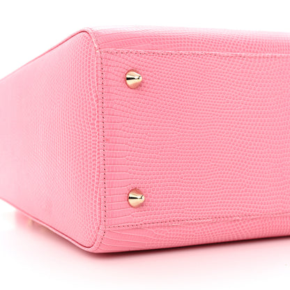 Christian Dior Lizard Medium Lady Dior 9 of 15