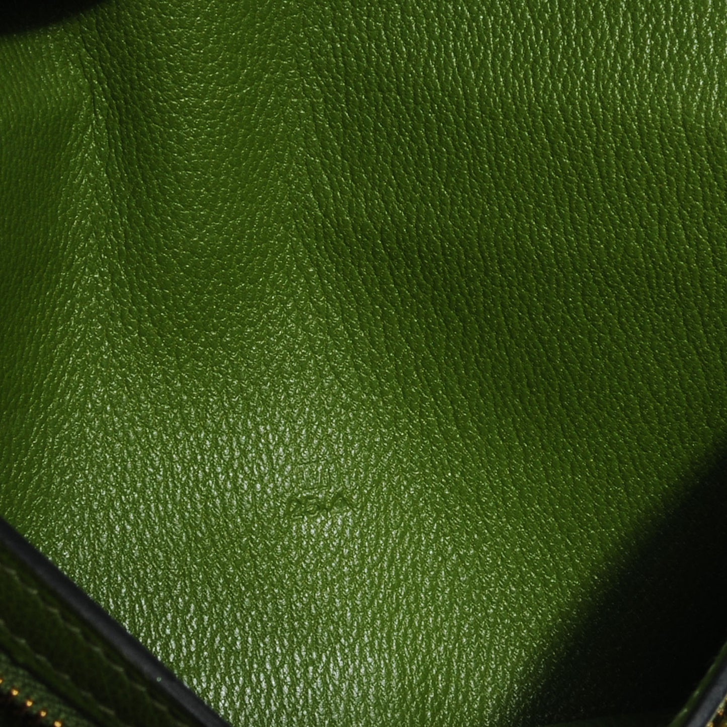 Alligator Bearn H Wallet Vert Benghal