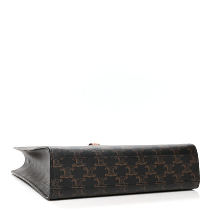 Celine Triomphe Canvas Calfskin Small Vertical Cabas Tan 4 of 9
