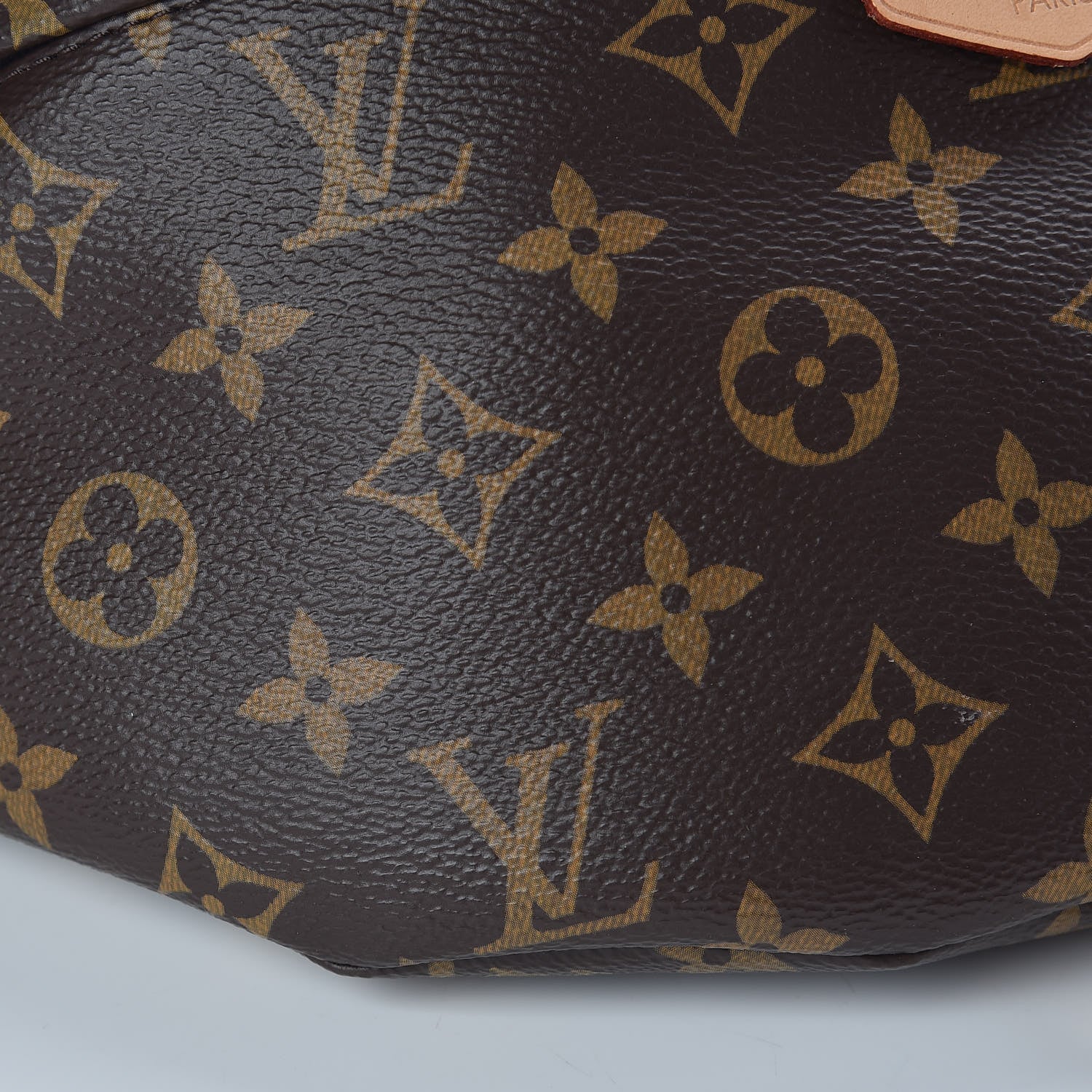 Louis Vuitton Monogram Bumbag 9 of 10