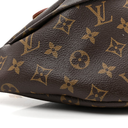 Louis Vuitton Monogram Bumbag 8 of 11