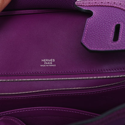 Hermes Togo Swift Ghillies Birkin 30 Anemone 6 of 12