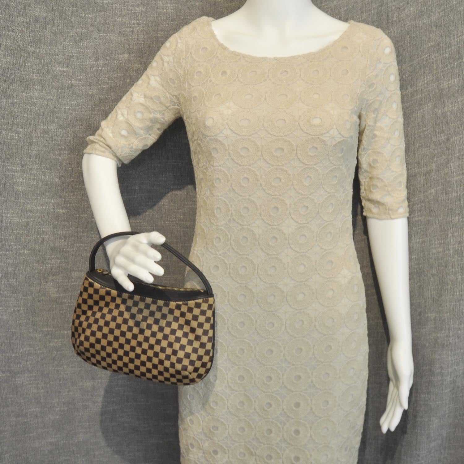 Louis Vuitton Damier Sauvage Tigre 2 of 8