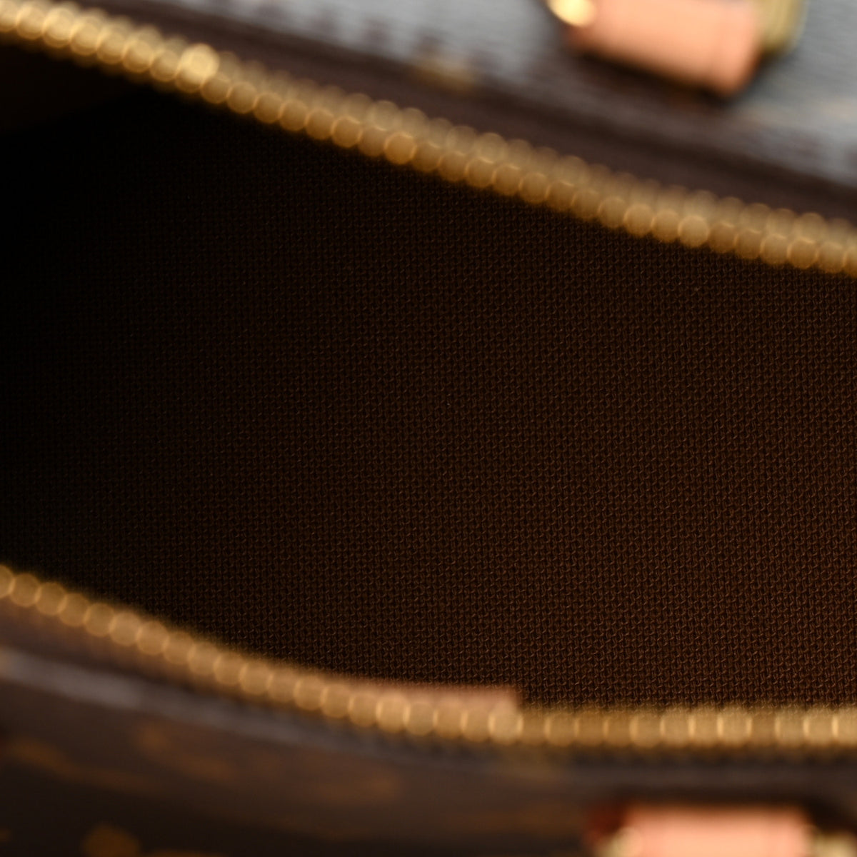 Monogram Nano Speedy