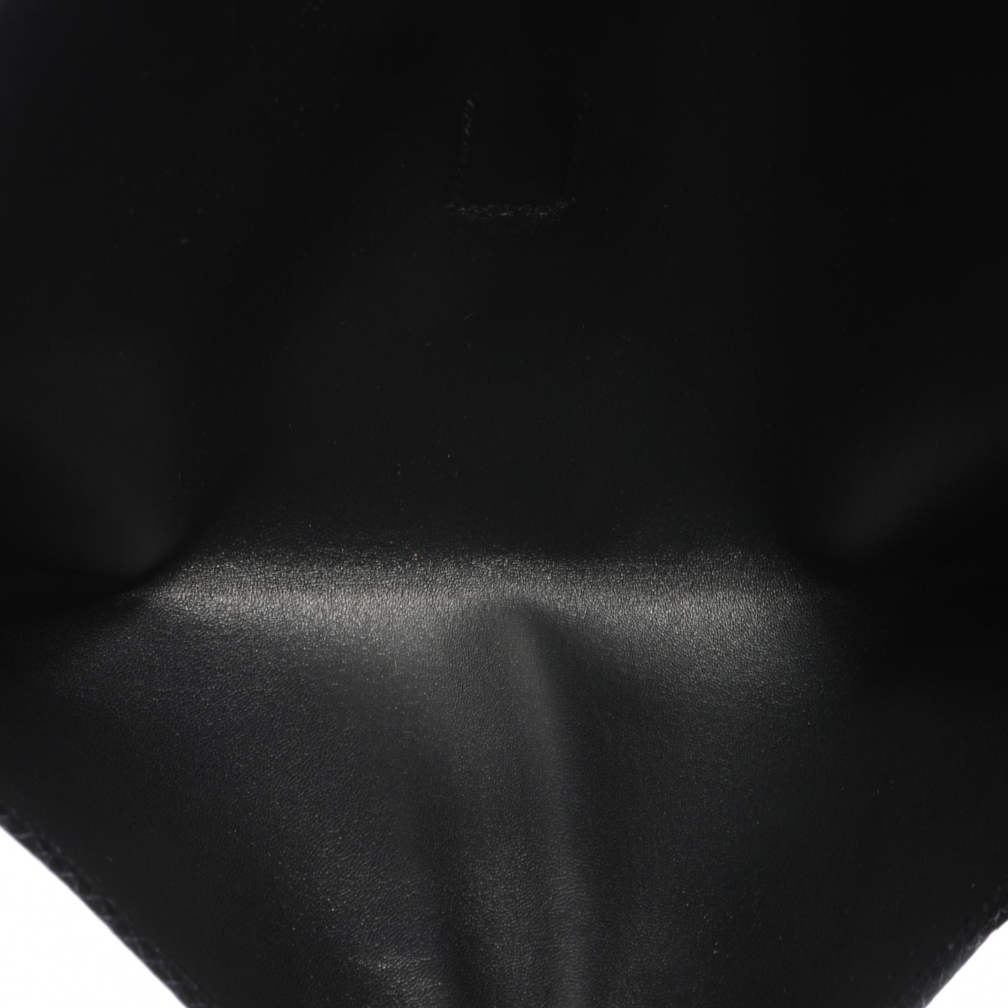 Satin Lizard Jige Elan 29 Black