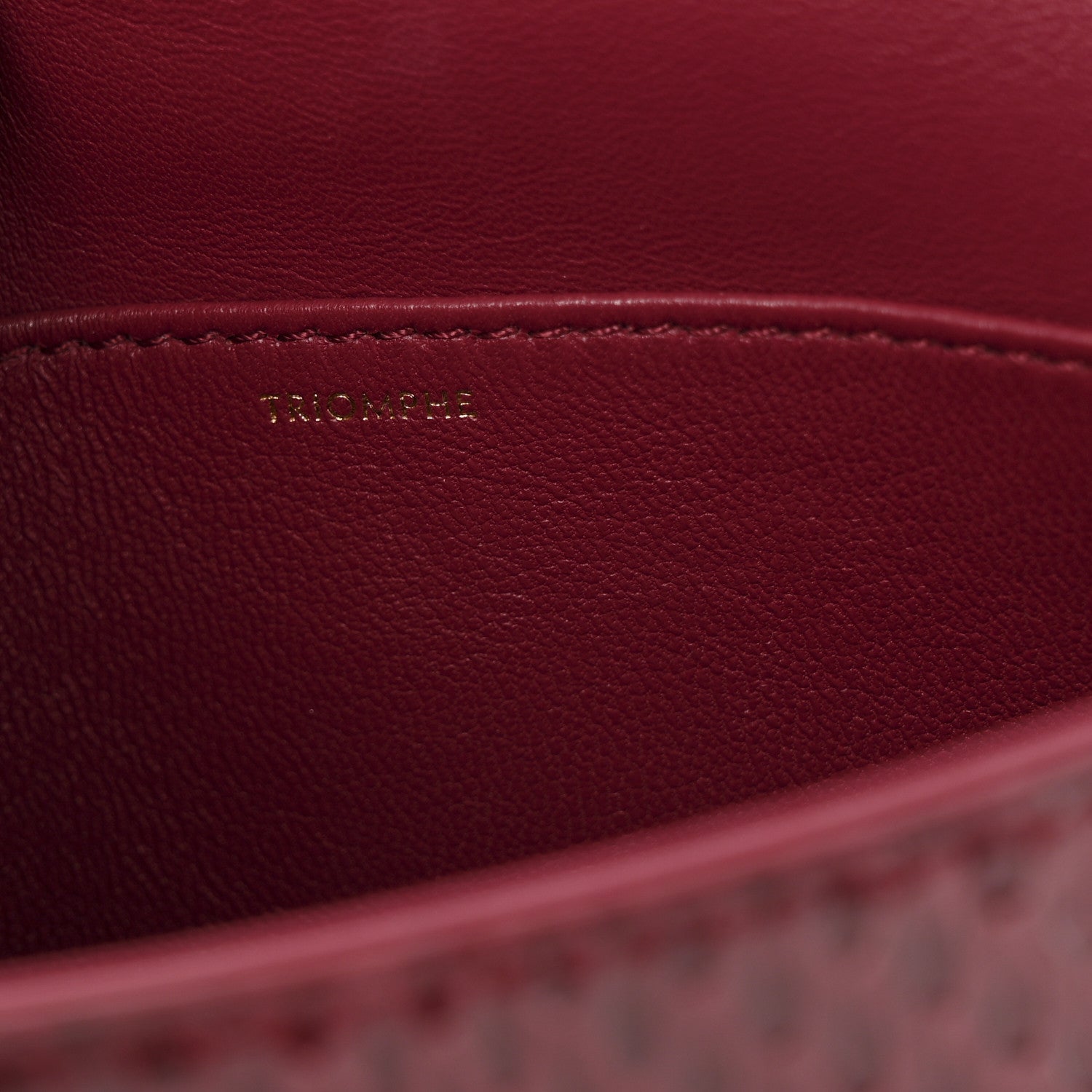 Celine Watersnake Teen Triomphe Ruby 7 of 13