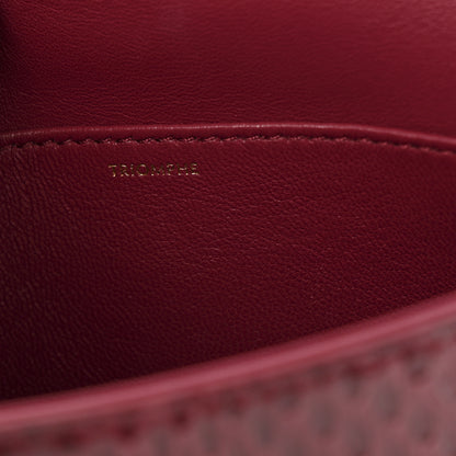 Celine Watersnake Teen Triomphe Ruby 7 of 13