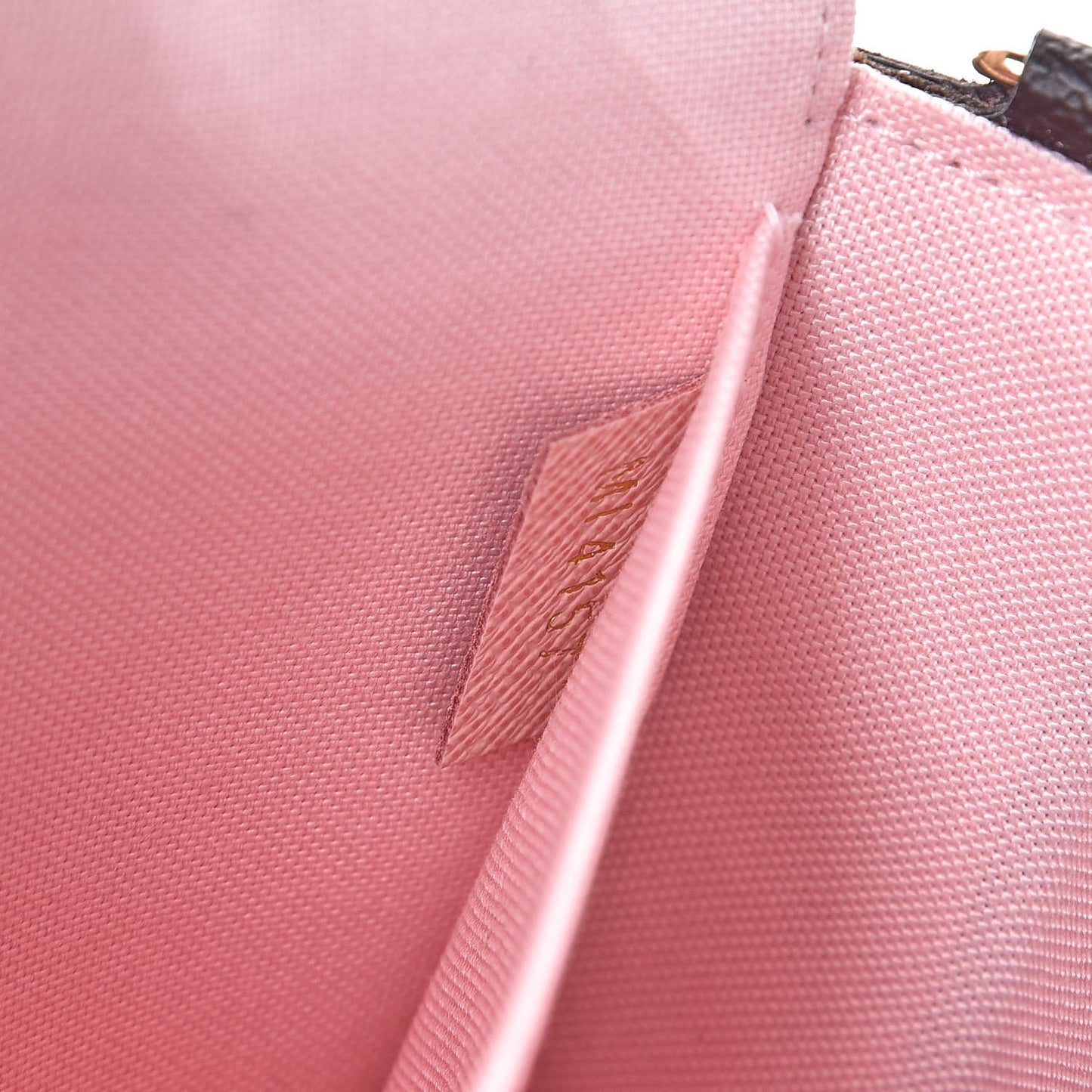 Monogram World Tour Pochette Felicie