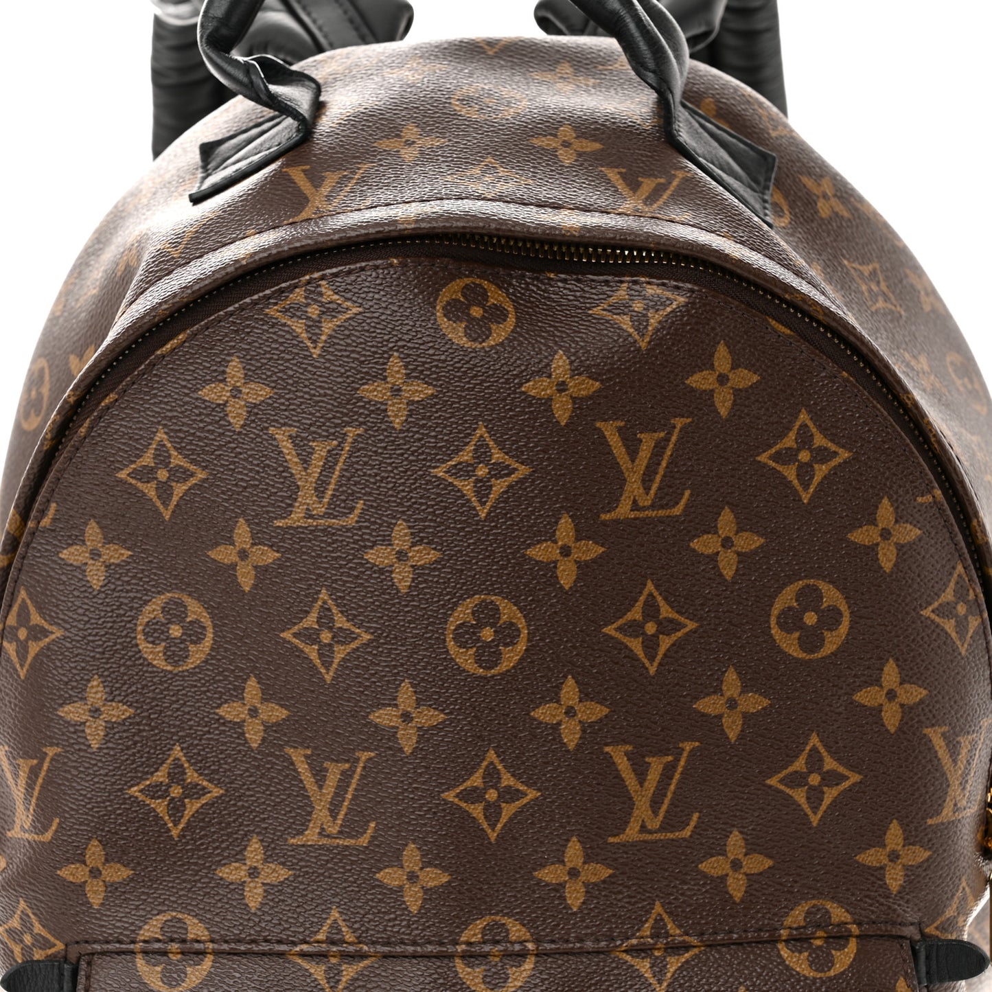 Monogram Palm Springs Backpack MM